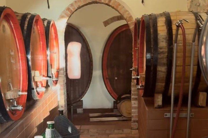 Siena Chianti Sunset at San Giorgio a Lapi: Winery Visit, Tasting and Terrace Dinner (11/12)