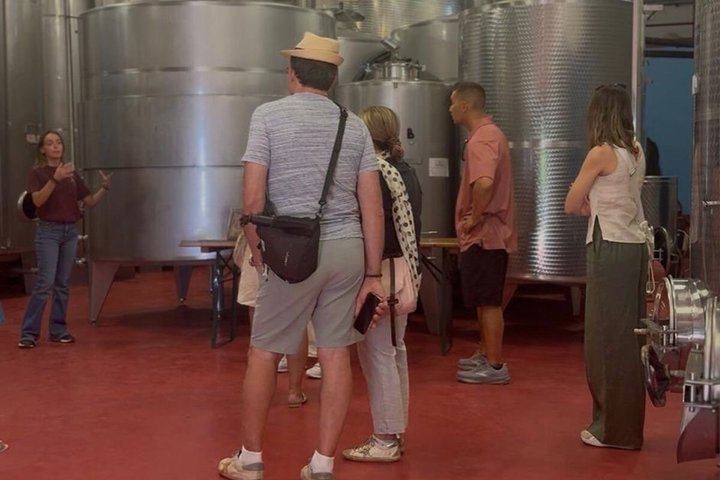 Siena Chianti Sunset at San Giorgio a Lapi: Winery Visit, Tasting and Terrace Dinner (8/12)