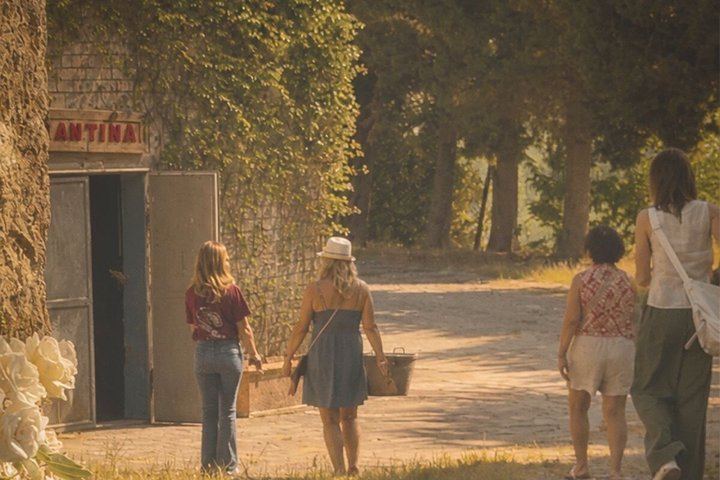 Siena Chianti Sunset at San Giorgio a Lapi: Winery Visit, Tasting and Terrace Dinner (7/12)