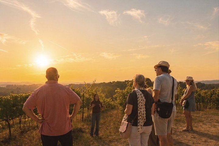 Siena Chianti Sunset at San Giorgio a Lapi: Winery Visit, Tasting and Terrace Dinner (3/12)