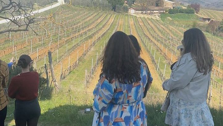 San Giorgio a Lapi Morning Winery Visit near Siena: Four Wines and a Tuscan Lunch (4/12)