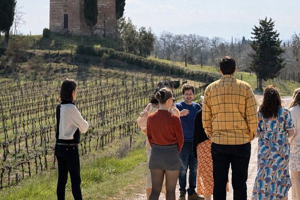 San Giorgio a Lapi Morning Winery Visit near Siena: Four Wines and a Tuscan Lunch
