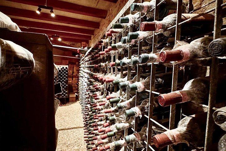 San Giorgio a Lapi Morning Winery Visit near Siena: Four Wines and a Tuscan Lunch (12/12)