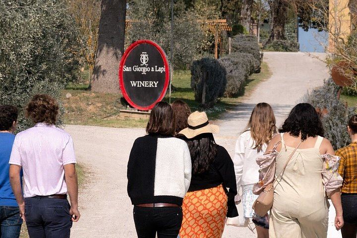 San Giorgio a Lapi Morning Winery Visit near Siena: Four Wines and a Tuscan Lunch (5/12)