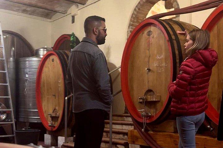 San Giorgio a Lapi Morning Winery Visit near Siena: Four Wines and a Tuscan Lunch (8/12)