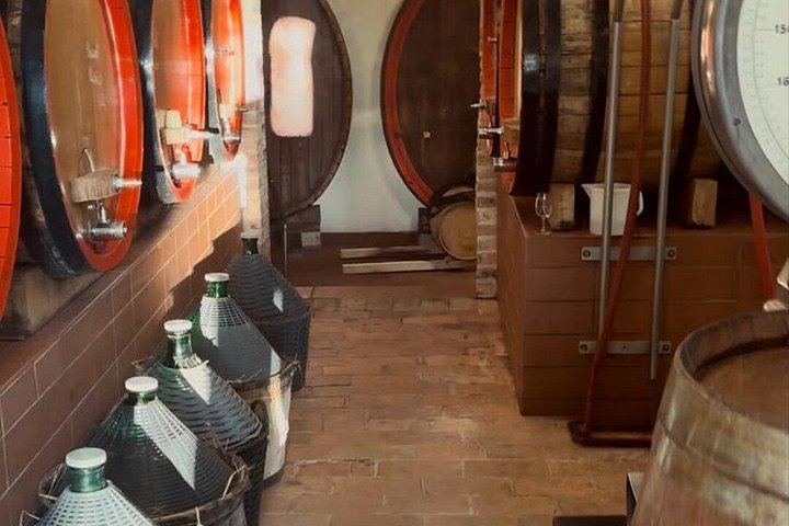 San Giorgio a Lapi Morning Winery Visit near Siena: Four Wines and a Tuscan Lunch (7/12)