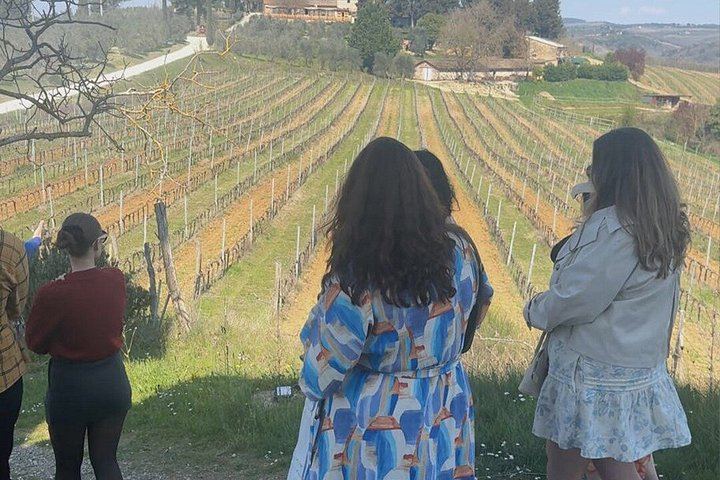 San Giorgio a Lapi Morning Winery Visit near Siena: Four Wines and a Tuscan Lunch (4/12)