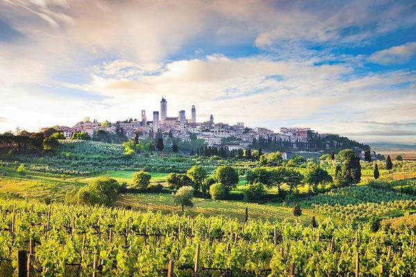 Private Florence Day Trip to Siena and San Gimignano with Winery Tasting and Tuscan Lunch