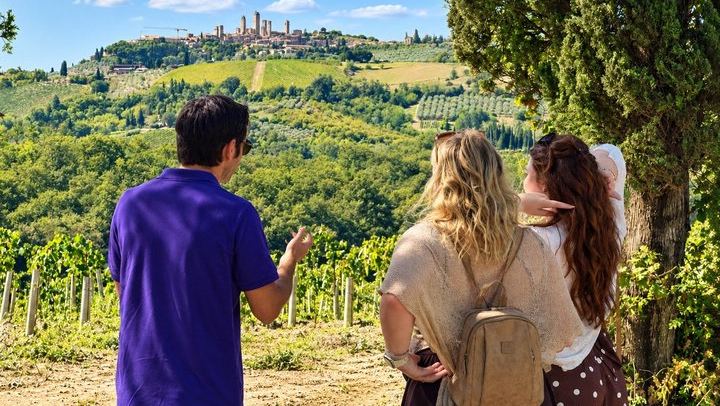 8-Seat Minivan Tour from Florence: Monteriggioni, Siena, Chianti Wine Lunch, San Gimignano (1/12)
