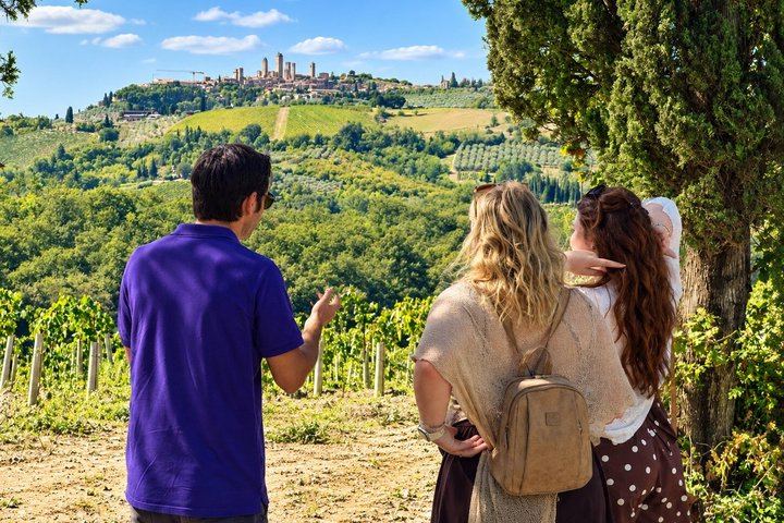 8-Seat Minivan Tour from Florence: Monteriggioni, Siena, Chianti Wine Lunch, San Gimignano (1/12)