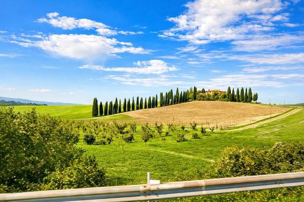 Siena Station Minivan Wine Tour: Montepulciano, Pienza, Val d'Orcia and Brunello Lunch