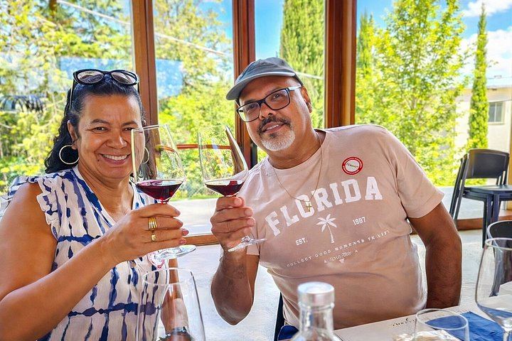 Siena Station Minivan Wine Tour: Montepulciano, Pienza, Val d'Orcia and Brunello Lunch (1/12)