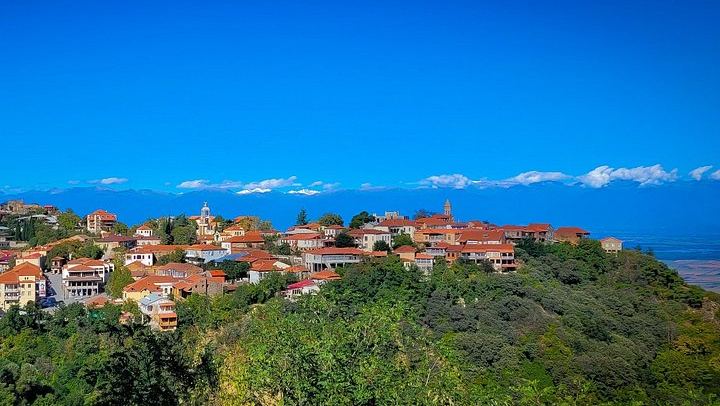 Kakheti Day Tour with Georgia Travel Adventure: Bread, Wine Cellar and Qvevri Master (3/9)