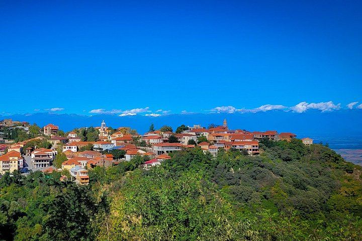 Kakheti Day Tour with Georgia Travel Adventure: Bread, Wine Cellar and Qvevri Master (3/9)