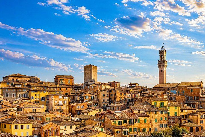 Brunello di Montalcino Wine Tour from Siena Railway Station: Two Winery Tastings (4/8)