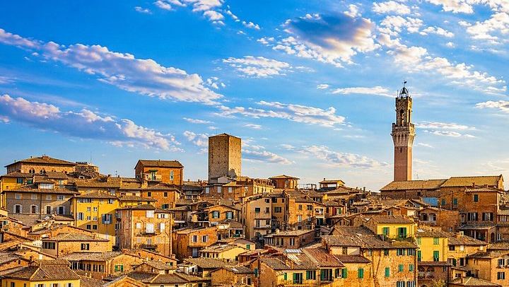 Brunello di Montalcino Wine Tour from Siena Railway Station: Two Winery Tastings (4/8)
