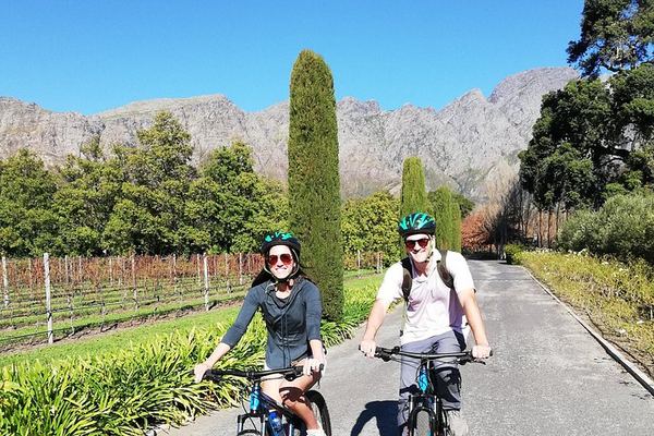 Private Half-Day Sip & Cycle in Franschhoek, Wine Pairing