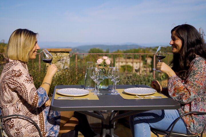 Chianti, Montalcino and Montepulciano by Minivan from Florence: Wine Tastings and Lunch (1/12)