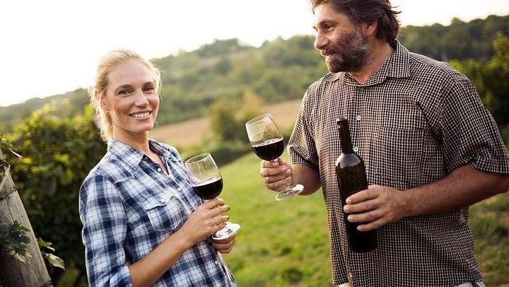 Niagara-on-the-Lake Full-Day Wine Tour with Cheese and Charcuterie Pairings (1/11)