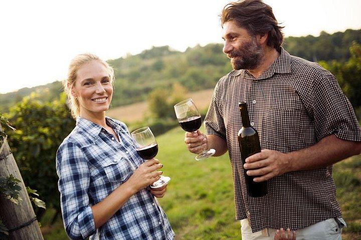 Niagara-on-the-Lake Full-Day Wine Tour with Cheese and Charcuterie Pairings (1/11)