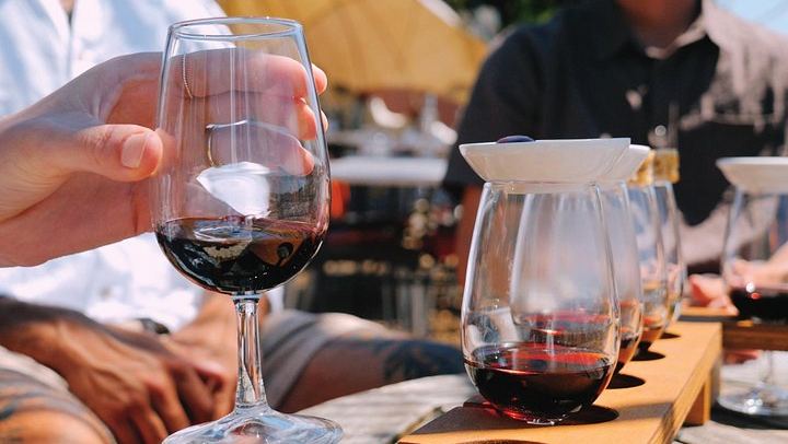 Waiheke Food and Wine Day: Tastings with Pairings, Shared Platter Lunch, 11 Guests Max (1/12)