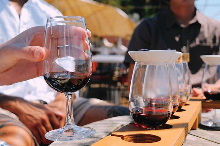 Waiheke Food and Wine Day: Tastings with Pairings, Shared Platter Lunch, 11 Guests Max (1/12)