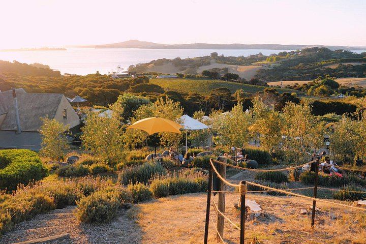 Waiheke Food and Wine Day: Tastings with Pairings, Shared Platter Lunch, 11 Guests Max (9/12)