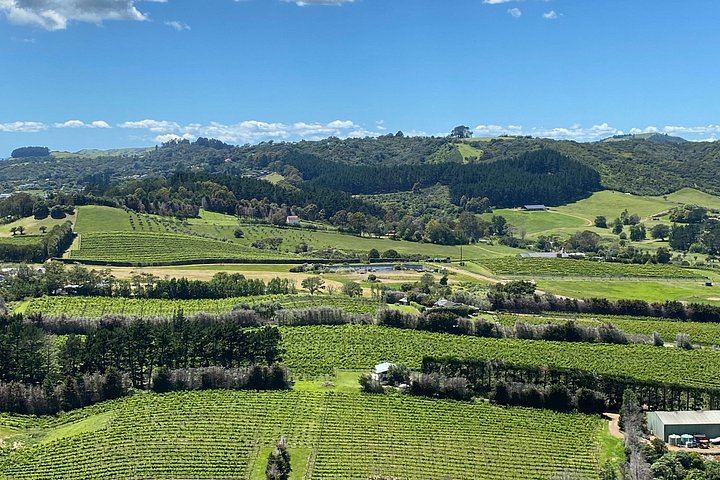 Waiheke Food and Wine Day: Tastings with Pairings, Shared Platter Lunch, 11 Guests Max (10/12)
