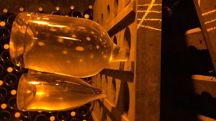 Small-Group Champagne Day Trip by Van, Max 8 Guests, with Lunch and Grower Tasting (4/8)