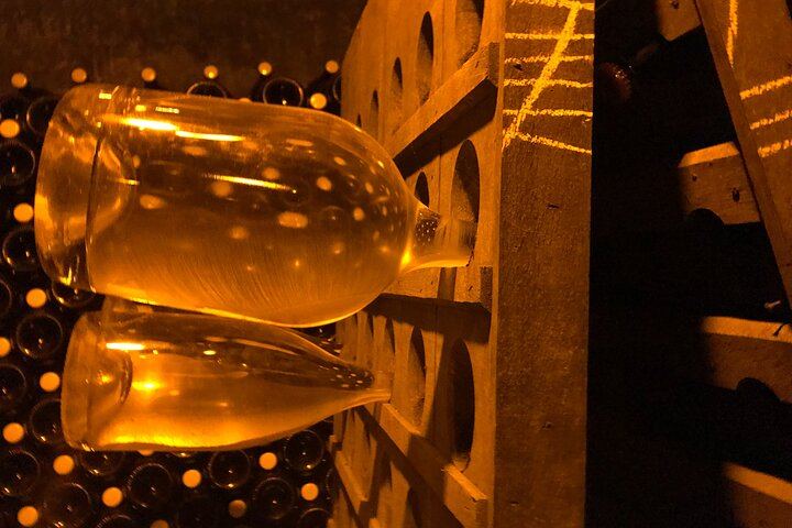 Small-Group Champagne Day Trip by Van, Max 8 Guests, with Lunch and Grower Tasting (4/8)