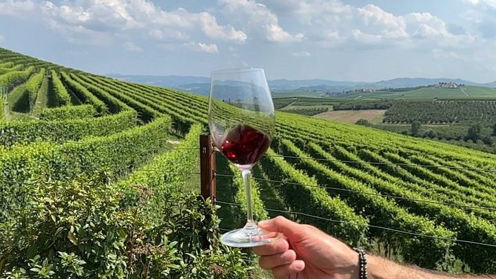 Small-Group Barolo Day Trip from Milan: Alba, Grinzane Cavour Castle and Family Winery (3/12)