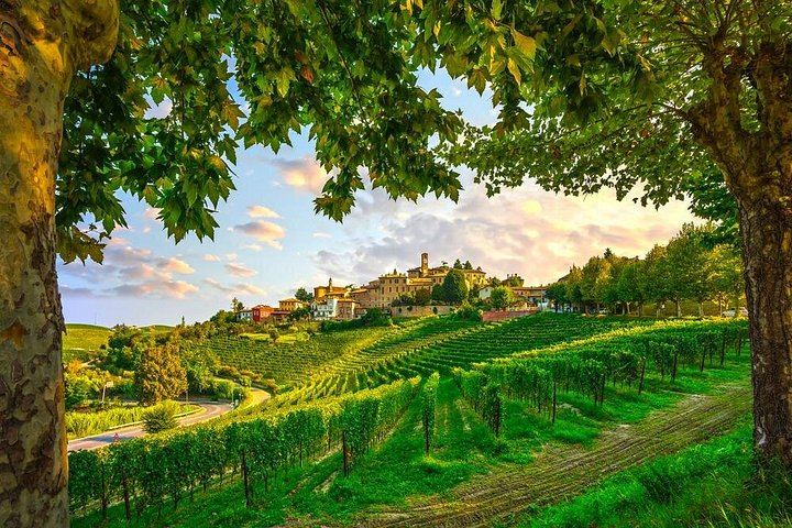Small-Group Barolo Day Trip from Milan: Alba, Grinzane Cavour Castle and Family Winery (9/12)