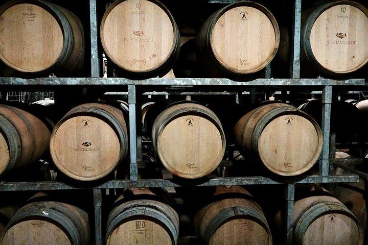 Small-Group Barolo Day Trip from Milan: Alba, Grinzane Cavour Castle and Family Winery (8/12)