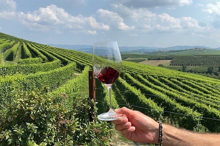 Small-Group Barolo Day Trip from Milan: Alba, Grinzane Cavour Castle and Family Winery (3/12)