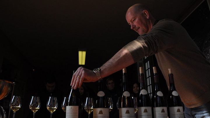 Small-Group Beaune Wine Tour from Dijon: Route des Grands Crus and Premier Cru Tasting (3/12)