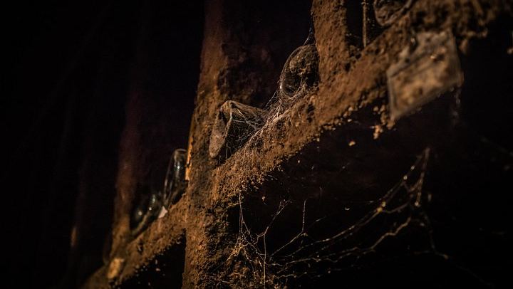 Small-Group Beaune Wine Tour from Dijon: Route des Grands Crus and Premier Cru Tasting (2/12)