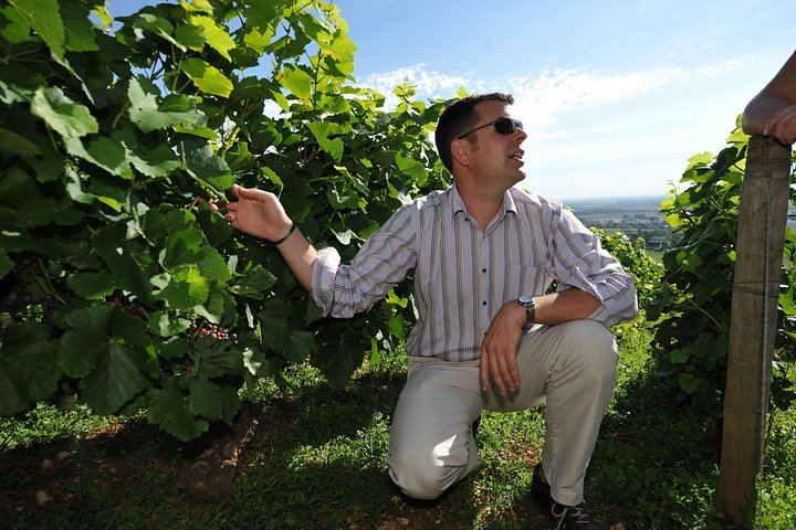 Small-Group Beaune Wine Tour from Dijon: Route des Grands Crus and Premier Cru Tasting (6/12)