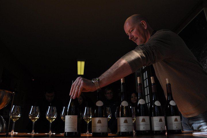 Small-Group Beaune Wine Tour from Dijon: Route des Grands Crus and Premier Cru Tasting (3/12)