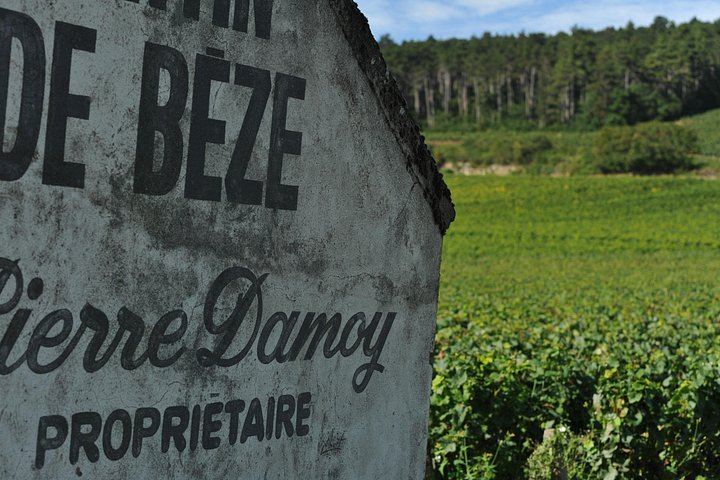 Small-Group Beaune Wine Tour from Dijon: Route des Grands Crus and Premier Cru Tasting (7/12)
