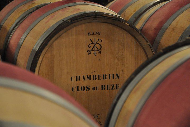 Small-Group Beaune Wine Tour from Dijon: Route des Grands Crus and Premier Cru Tasting (11/12)