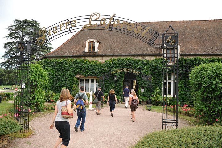 Small-Group Beaune Wine Tour from Dijon: Route des Grands Crus and Premier Cru Tasting (5/12)
