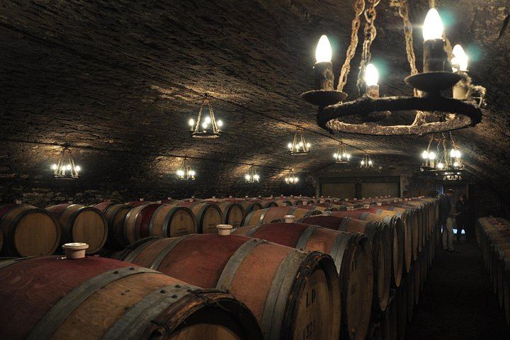 Small-Group Beaune Wine Tour from Dijon: Route des Grands Crus and Premier Cru Tasting (12/12)