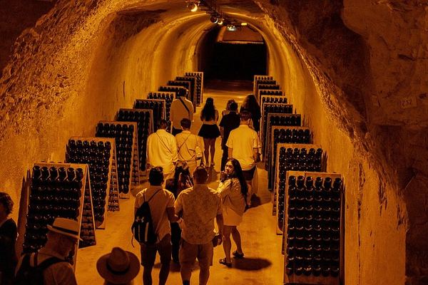 Small-Group Champagne from Paris: Big House, Family Estate, Lunch, Royal Champagne View