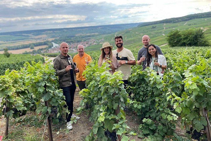 Small-Group Champagne from Paris: Big House, Family Estate, Lunch, Royal Champagne View (1/12)