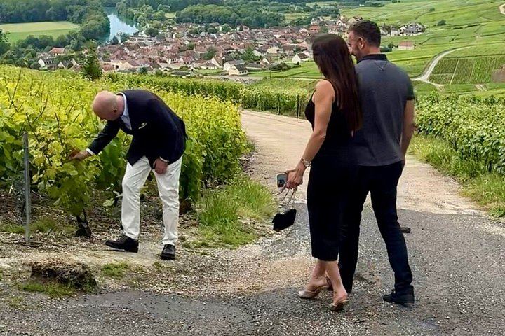 Small Group Champagne Day Trip from Paris, Max 8 Guests, Family Producer, Sabrage (2/8)