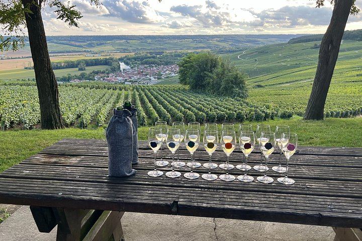 Small-Group Champagne from Paris: Big House, Family Estate, Lunch, Royal Champagne View (7/12)
