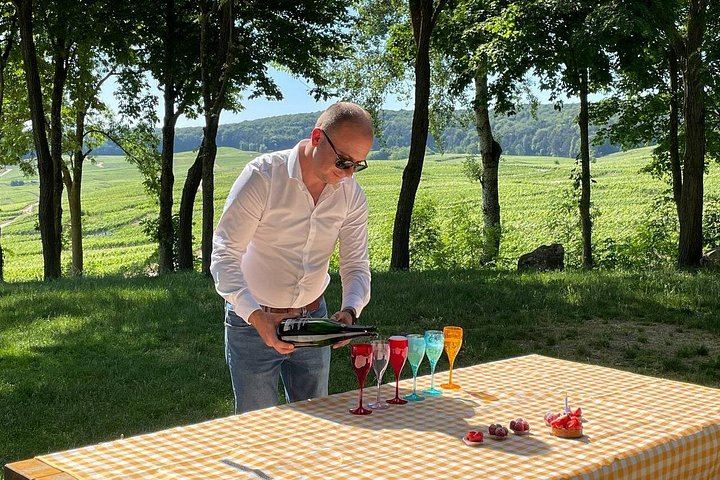 Small-Group Champagne from Paris: Big House, Family Estate, Lunch, Royal Champagne View (10/12)