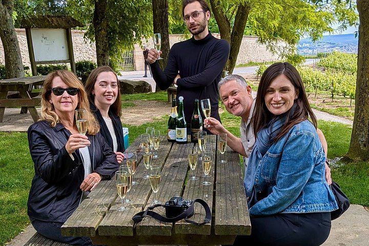 Small-Group Champagne from Paris: Big House, Family Estate, Lunch, Royal Champagne View (5/12)