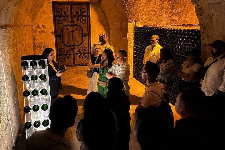 Small Group Champagne Day Trip from Paris, Max 8 Guests, Family Producer, Sabrage (1/8)