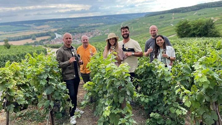 Small-Group Champagne from Paris: Big House, Family Estate, Lunch, Royal Champagne View (1/12)